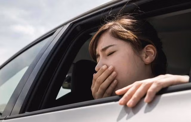 Ăn gì thoát nỗi ám ảnh say tàu xe khi đi chơi ngày lễ 30/4-1/5? ảnh 1 an gi thoat noi am anh say tau xe khi di choi ngay le 30/4-1/5? - 1