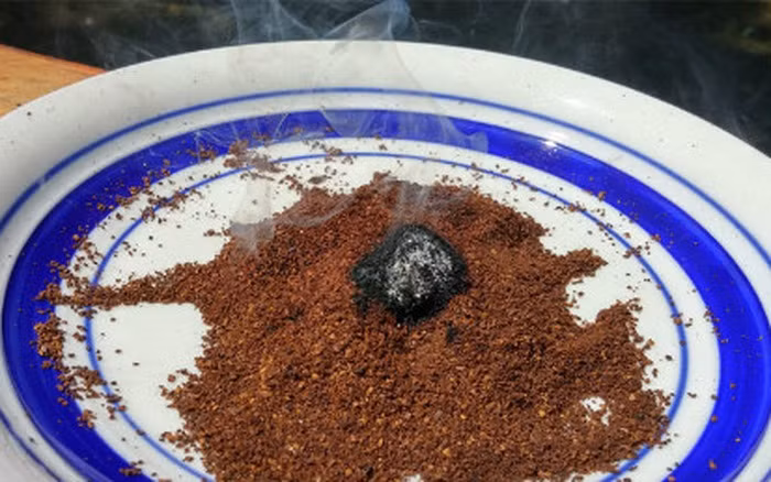 cach-duoi-muoi-don-gian-bang-ca-phe