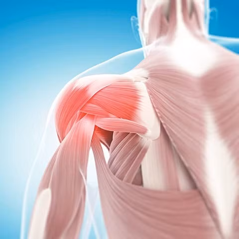 Chấn thương khớp vai (hình minh họa)