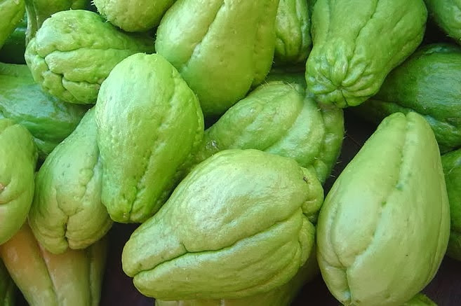 chayote