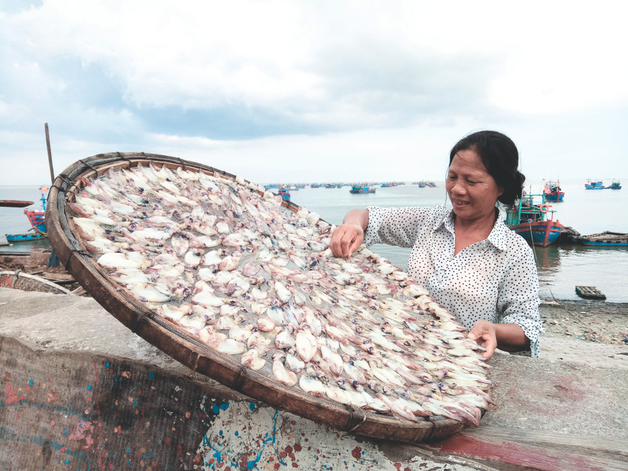 Người dân Ngư Lộc phơi mực ở bờ biển Người dân Ngư Lộc phơi mực ở bờ biển