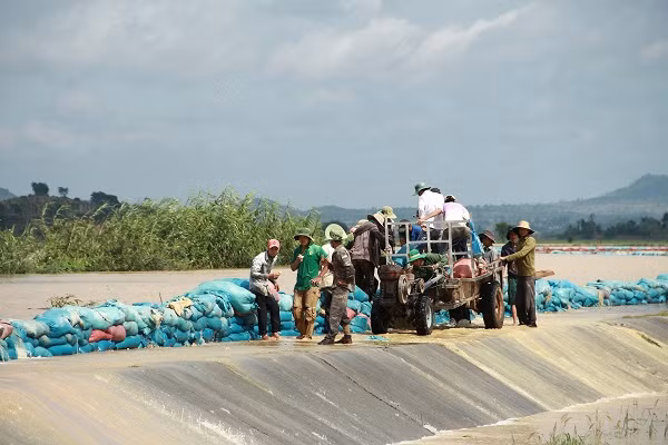 Người dân chở đất bằng máy cày gia cố lại bờ đê. Ảnh: Trúc Hân