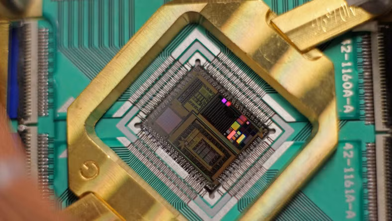 Cuộc sống muôn màu