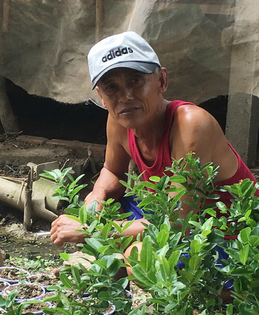 Quả cây lạ, chín đỏ rực làng, khách khắp nơi tìm về thưởng thức