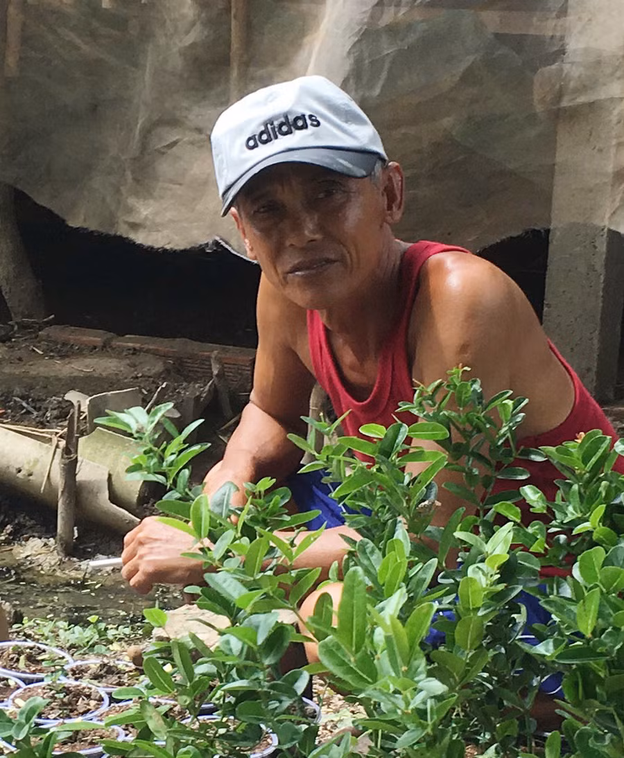 Quả cây lạ, chín đỏ rực làng, khách khắp nơi tìm về thưởng thức