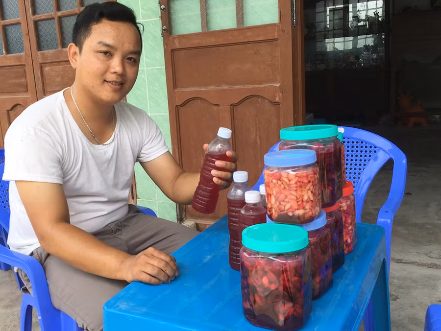 Quả cây lạ, chín đỏ rực làng, khách khắp nơi tìm về thưởng thức