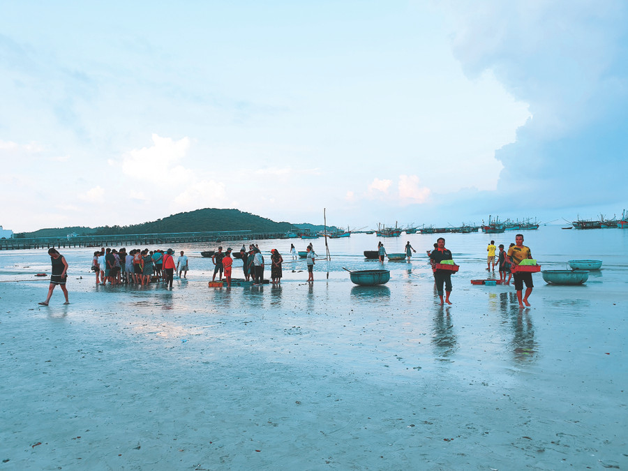 Du khách có thể vừa ngắm bình minh và thăm “chợ” hải sản ngay trên bãi tắm Bác Hồ Du khách có thể vừa ngắm bình minh và thăm “chợ” hải sản ngay trên bãi tắm Bác Hồ