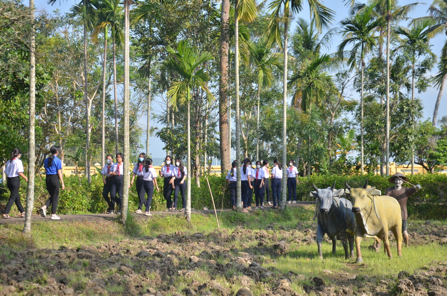 Ngày 16/3/1968, chỉ trong 4 giờ đồng hồ, lính Mỹ đã xả súng vào những người nông dân, vào làng đốt nhà và tiếp tục bắn giết người già, đàn bà, trẻ con, khiến 504 thường dân thiệt mạng.