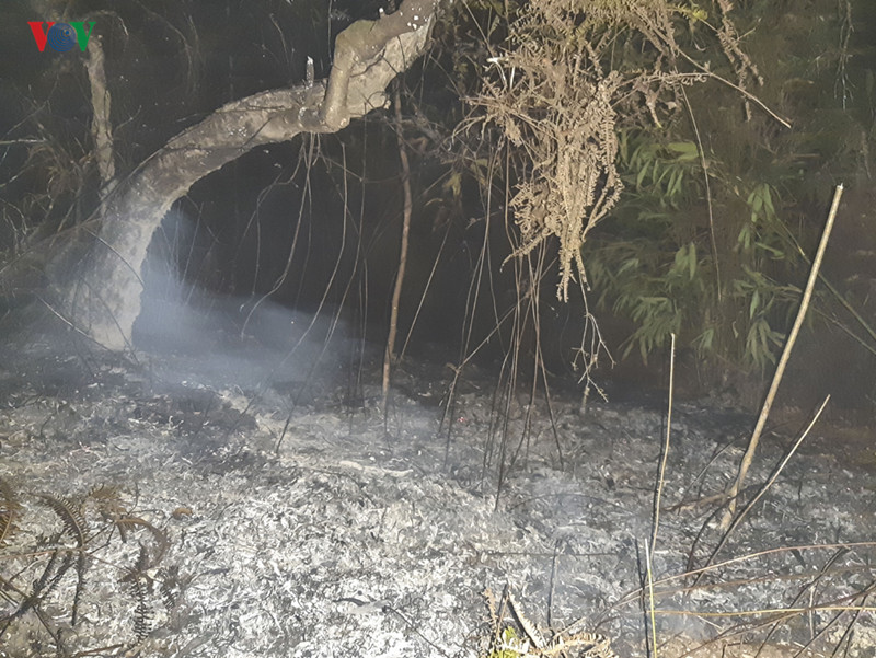 hàng trăm người tham gia chữa cháy rừng trong đêm hình 5 hang tram nguoi tham gia chua chay rung trong dem hinh 5