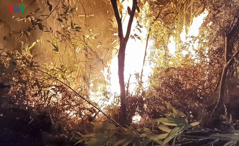 hàng trăm người tham gia chữa cháy rừng trong đêm hình 2 hang tram nguoi tham gia chua chay rung trong dem hinh 2