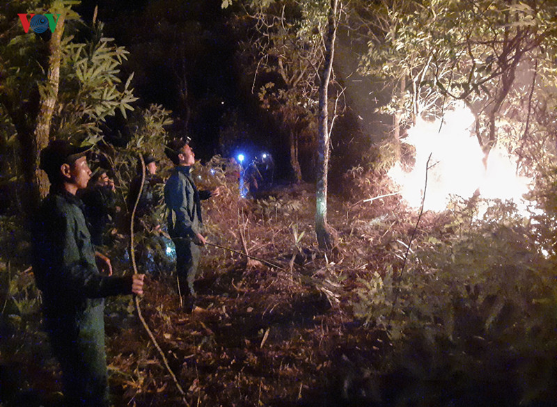 hàng trăm người tham gia chữa cháy rừng trong đêm hình 3 hang tram nguoi tham gia chua chay rung trong dem hinh 3