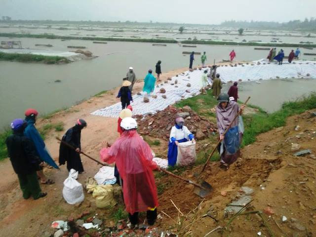 Người dân gia cố đê điều tại huyện Lộc Hà