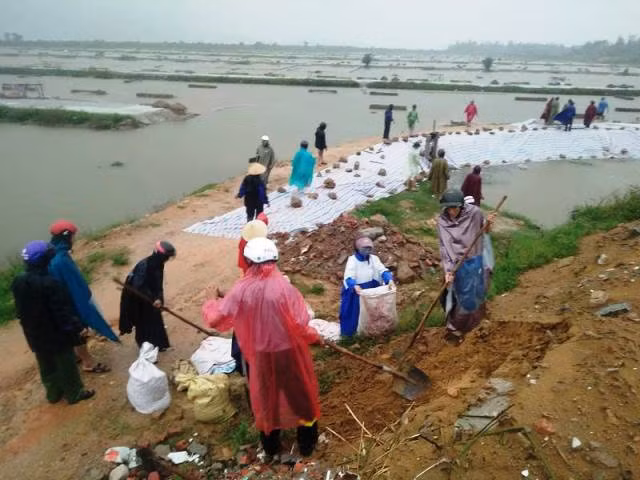 Người dân gia cố đê điều tại huyện Lộc Hà