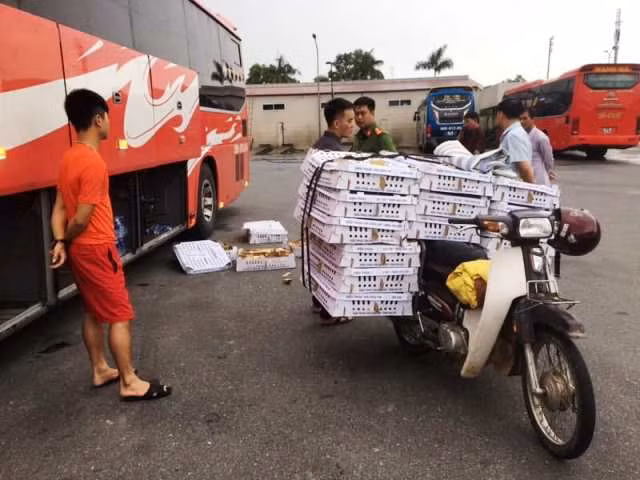 Hà Tĩnh: Bắt xe khách vận chuyển trên 2.000 con gà “lậu“