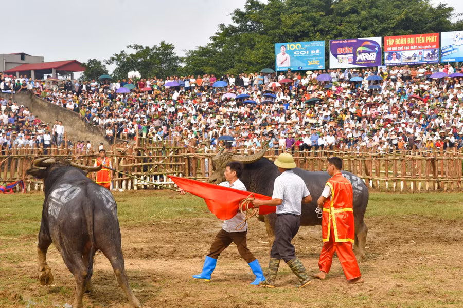 Bien&nbsp;nguoi do ve xem le hoi choi trau co nhat Viet Nam hinh anh 5