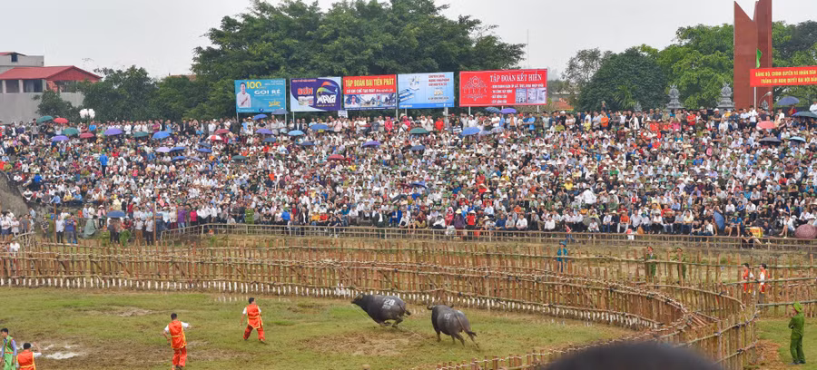 Bien&nbsp;nguoi do ve xem le hoi choi trau co nhat Viet Nam hinh anh 1