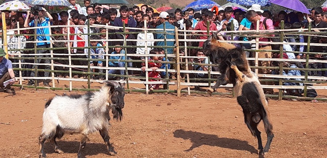 Các “đấu sĩ” cống hiến nhiều pha tấn công đẹp mắt Các “đấu sĩ” cống hiến nhiều pha tấn công đẹp mắt