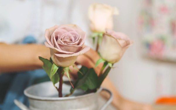 Lỡ tay đổ bia vào lọ hoa, sáng hôm sau mẹ trẻ ngỡ ngàng khi thấy kết quả ảnh 1 lo tay do bia vao lo hoa, sang hom sau me tre ngo ngang khi thay ket qua - 1