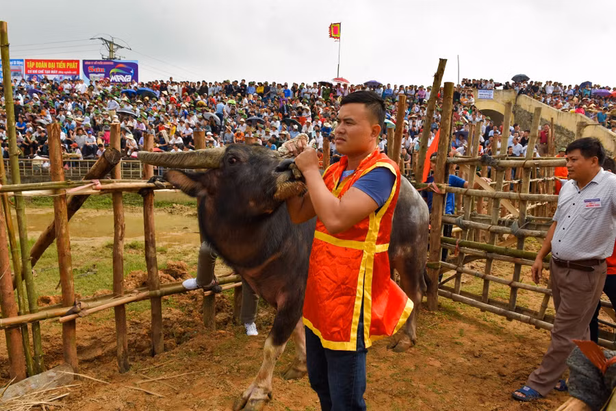 Bien&nbsp;nguoi do ve xem le hoi choi trau co nhat Viet Nam hinh anh 6
