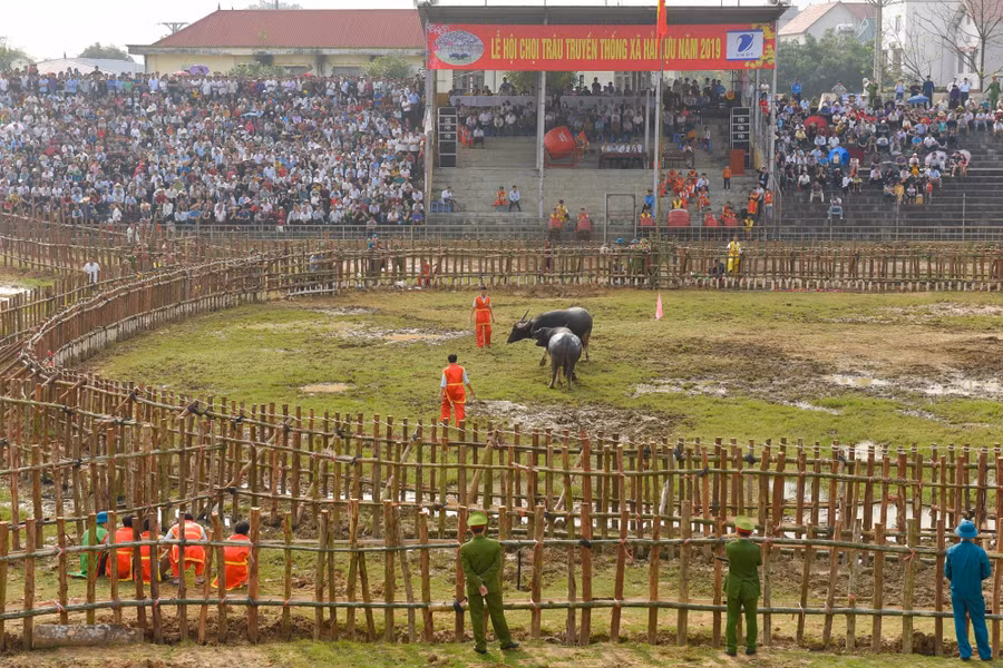 Bien&nbsp;nguoi do ve xem le hoi choi trau co nhat Viet Nam hinh anh 9