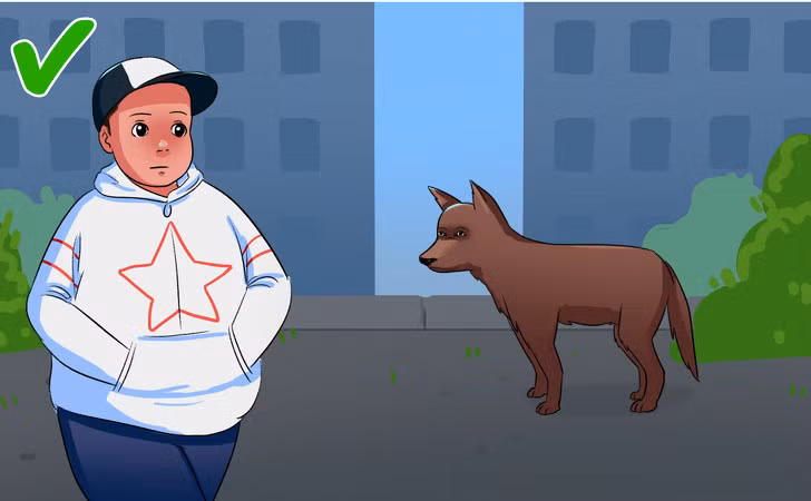 Đứng yên và đừng nhìn vào mắt chó khi có dấu hiệu chó tấn công. (Hình minh họa).