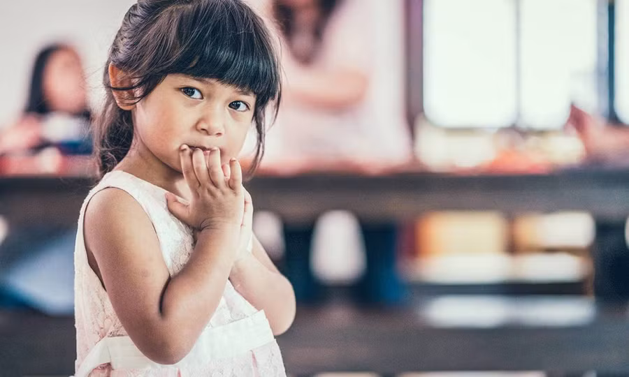 Nhút nhát là một đặc điểm tính khí tự nhiên. (Ảnh: ITN).