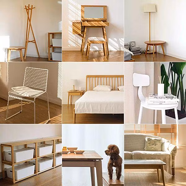 nem sach do trong nha chi vi mot bo phim, 2 nam sau co gai nhan cai ket bat ngo - 2