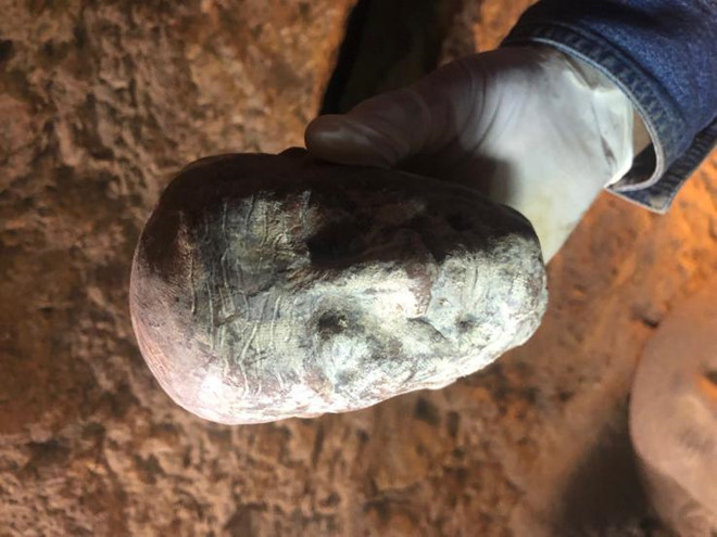 Truyền hình trực tiếp mở quách chứa xác ướp Ai Cập 2.500 năm ảnh 2 Truyen hinh truc tiep mo quach chua xac uop Ai Cap 2.500 nam hinh anh 2