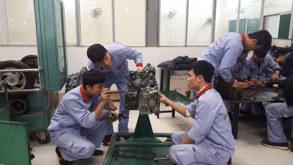 Chọn nghề - việc làm