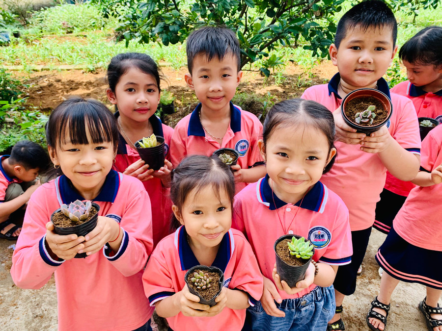 Học sinh chia sẻ hình ảnh những cây sen đá mình tự trồng.