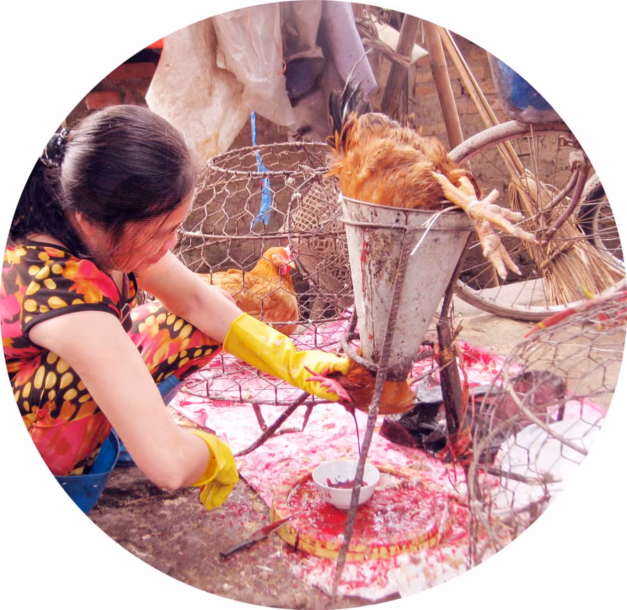 Công nghệ “hóa kiếp” thủ công Công nghệ “hóa kiếp” thủ công