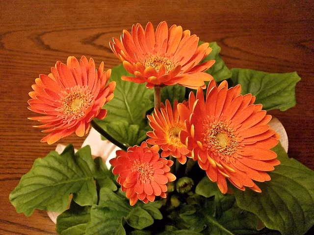 Bàn thờ Thần Tài cắm hoa gì để thu hút nhiều tài lộc?