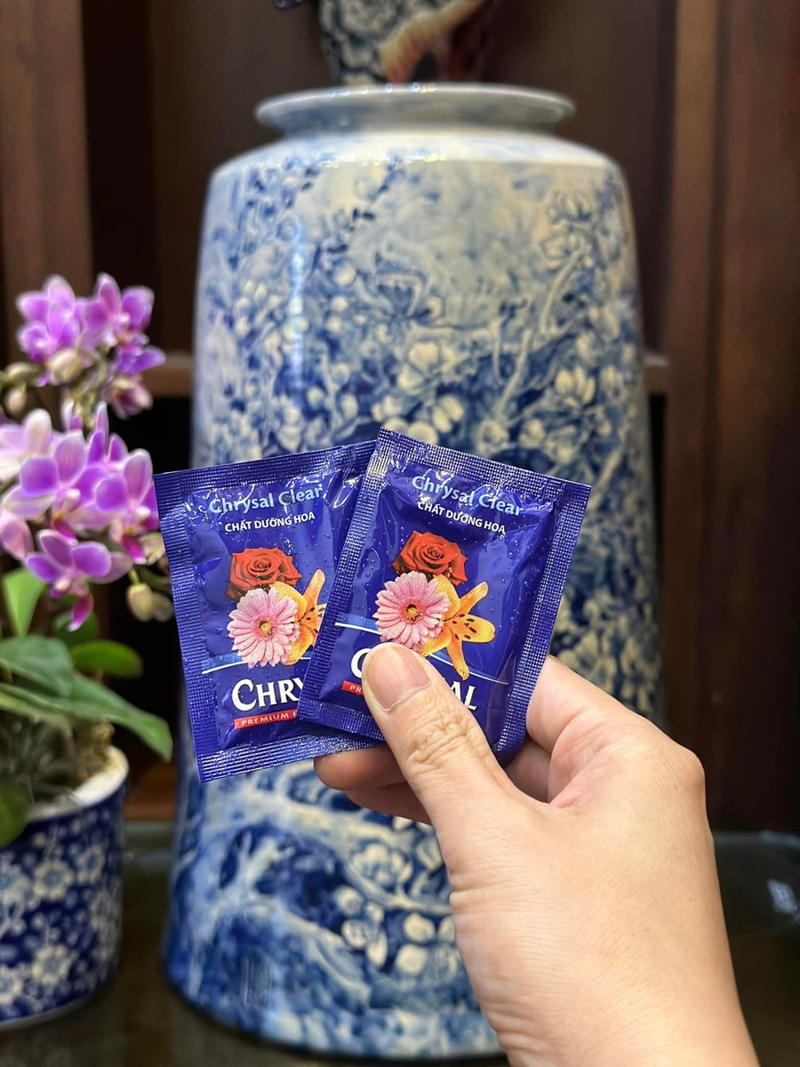 Trong bình nước cắm đào pha gói dưỡng, nếu khi thay nước thì lại hoà gói dưỡng mới.