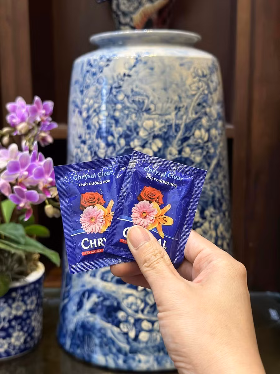 Trong bình nước cắm đào pha gói dưỡng, nếu khi thay nước thì lại hoà gói dưỡng mới.