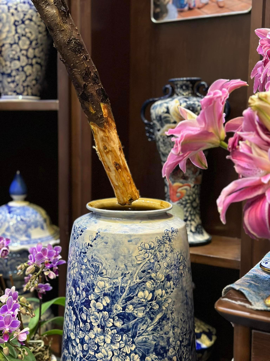 Đào mua về không đốt gốc mà cưa lại gốc 1 lần, sau đó cạo khoanh vỏ cao tầm 10cm.