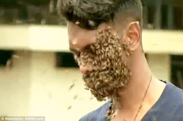 Kinh dị người đàn ông để 60.000 con ong bu kín mặt vẫn bình thản đọc sách - Ảnh 1.