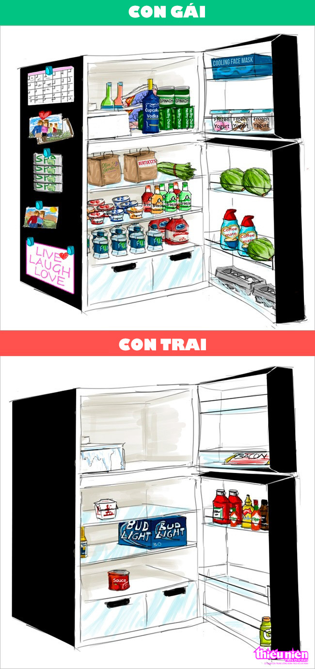 10 điểm khác nhau giữa con trai và con gái ảnh 3 10 điểm khác nhau giữa con trai và con gái ảnh 3