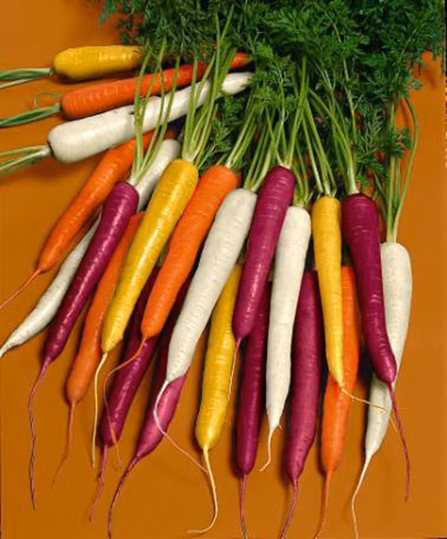 Chuối đỏ, cà rốt tím, cá biết bay và vô số hình ảnh lạ bạn chưa từng nhìn thấy - Ảnh 2.