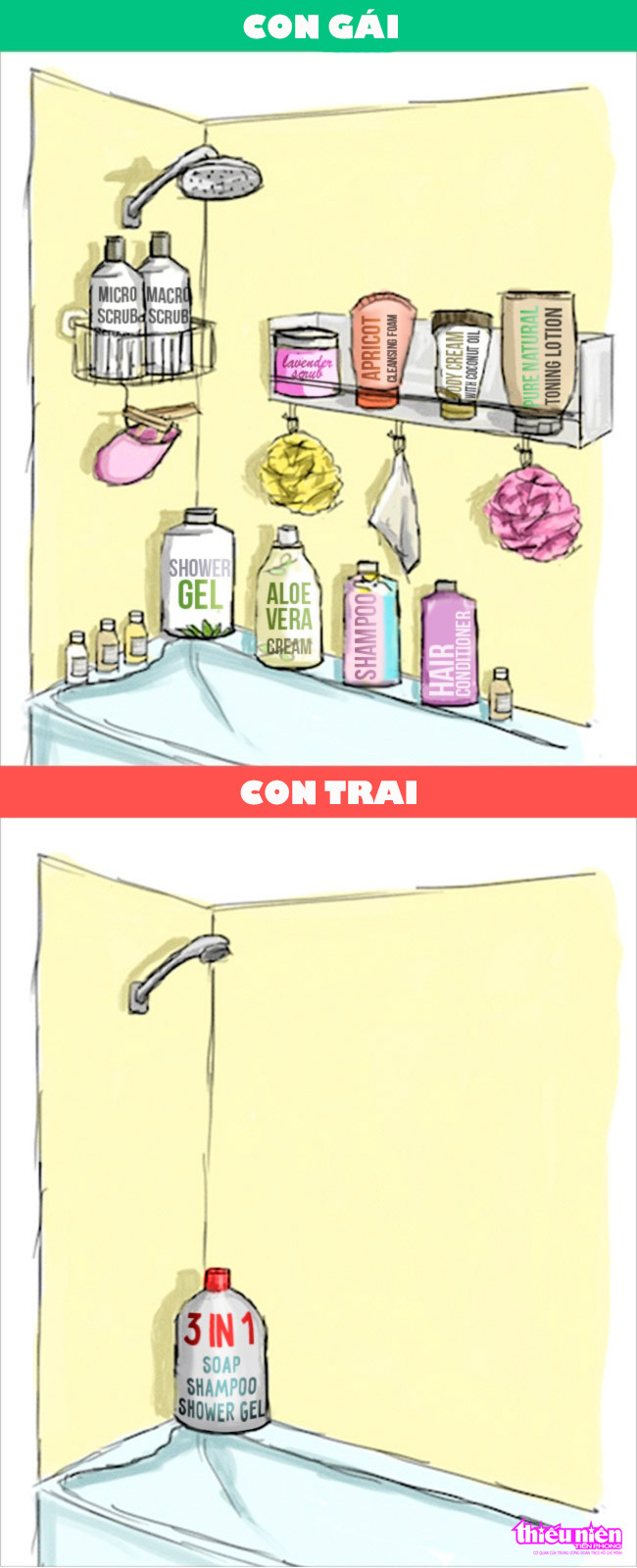 10 điểm khác nhau giữa con trai và con gái ảnh 6 10 điểm khác nhau giữa con trai và con gái ảnh 6