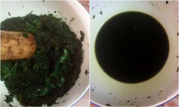 Dùng rau diếp cá làm theo cách này, mụn cứng đầu đến đâu cũng hết sạch ảnh 3 chay ra cho mua rau diep ca ve lam theo cach nay, mun cung dau den dau cung het sach - 3