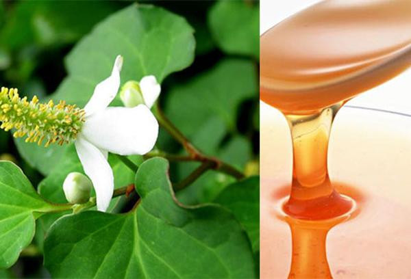 Dùng rau diếp cá làm theo cách này, mụn cứng đầu đến đâu cũng hết sạch ảnh 2 chay ra cho mua rau diep ca ve lam theo cach nay, mun cung dau den dau cung het sach - 2