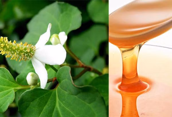 chay ra cho mua rau diep ca ve lam theo cach nay, mun cung dau den dau cung het sach - 2