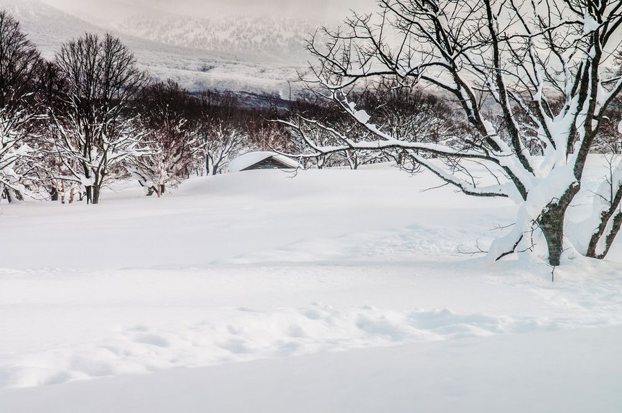 10 dia diem co tuyet roi nhieu nhat the gioi hinh anh 2