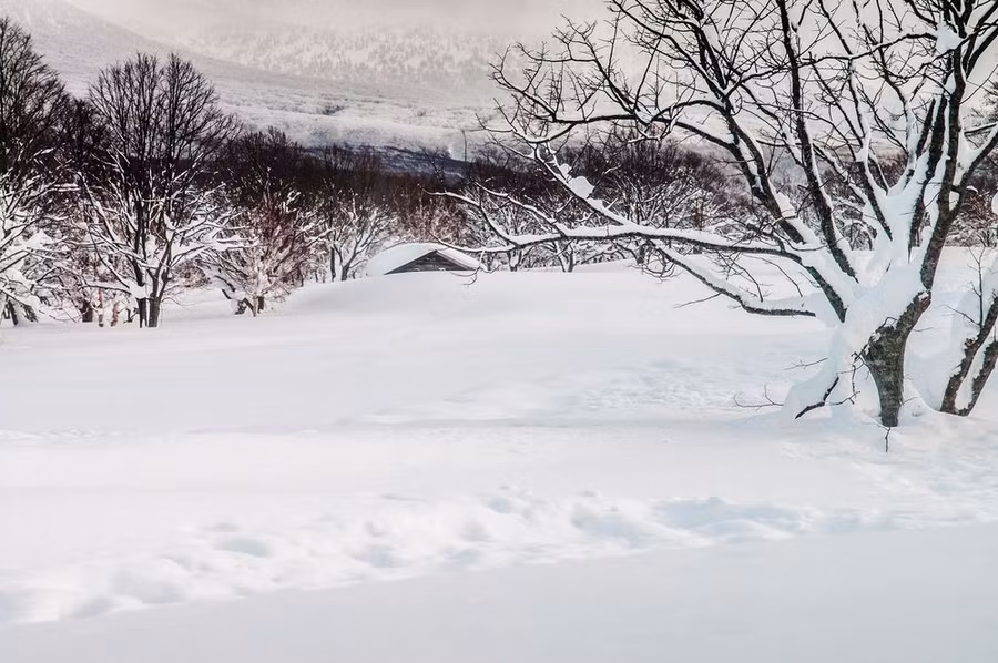 10 dia diem co tuyet roi nhieu nhat the gioi hinh anh 2