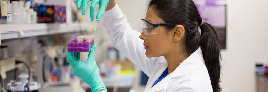 Đầu tư cho nghiên cứu khoa học được chủ động hơn khi nguồn thu tài chính bền vững Đầu tư cho nghiên cứu khoa học được chủ động hơn khi nguồn thu tài chính bền vững