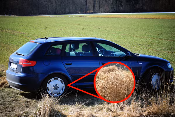 11 meo sinh ton hay ho cuu nguy cho ban moi luc hinh anh 4