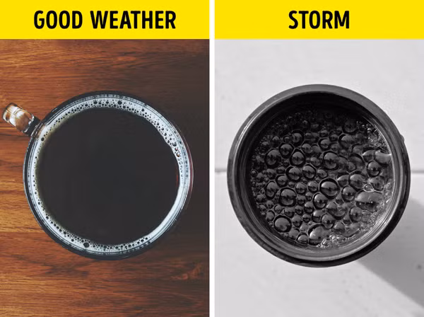 11 meo sinh ton hay ho cuu nguy cho ban moi luc hinh anh 3