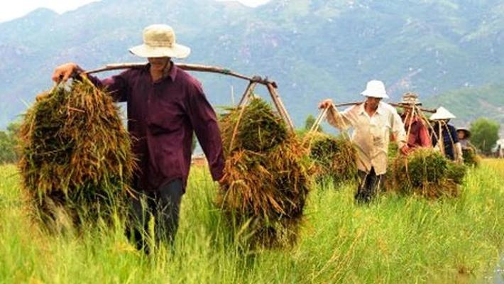 Chê cha bạn gái làm nghiệp “hạ đẳng”, chàng trai nhận cái kết không thể đắng chát hơn