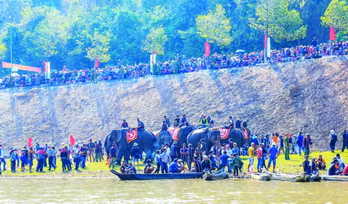 Lễ hội đua voi của người dân