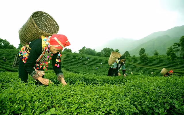 Đưa NQ Đảng bộ lần thứ 13 vào cuộc sống 